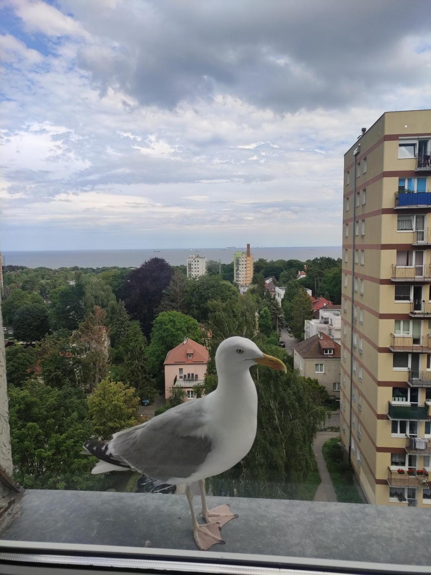 דירות סופוט Apartament Widokowo מראה חיצוני תמונה